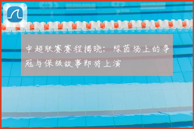 中超联赛赛程揭晓：绿茵场上的争冠与保级故事即将上演