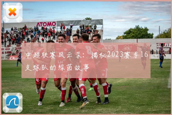 中超联赛风云录：揭秘2023赛季16支球队的绿茵故事